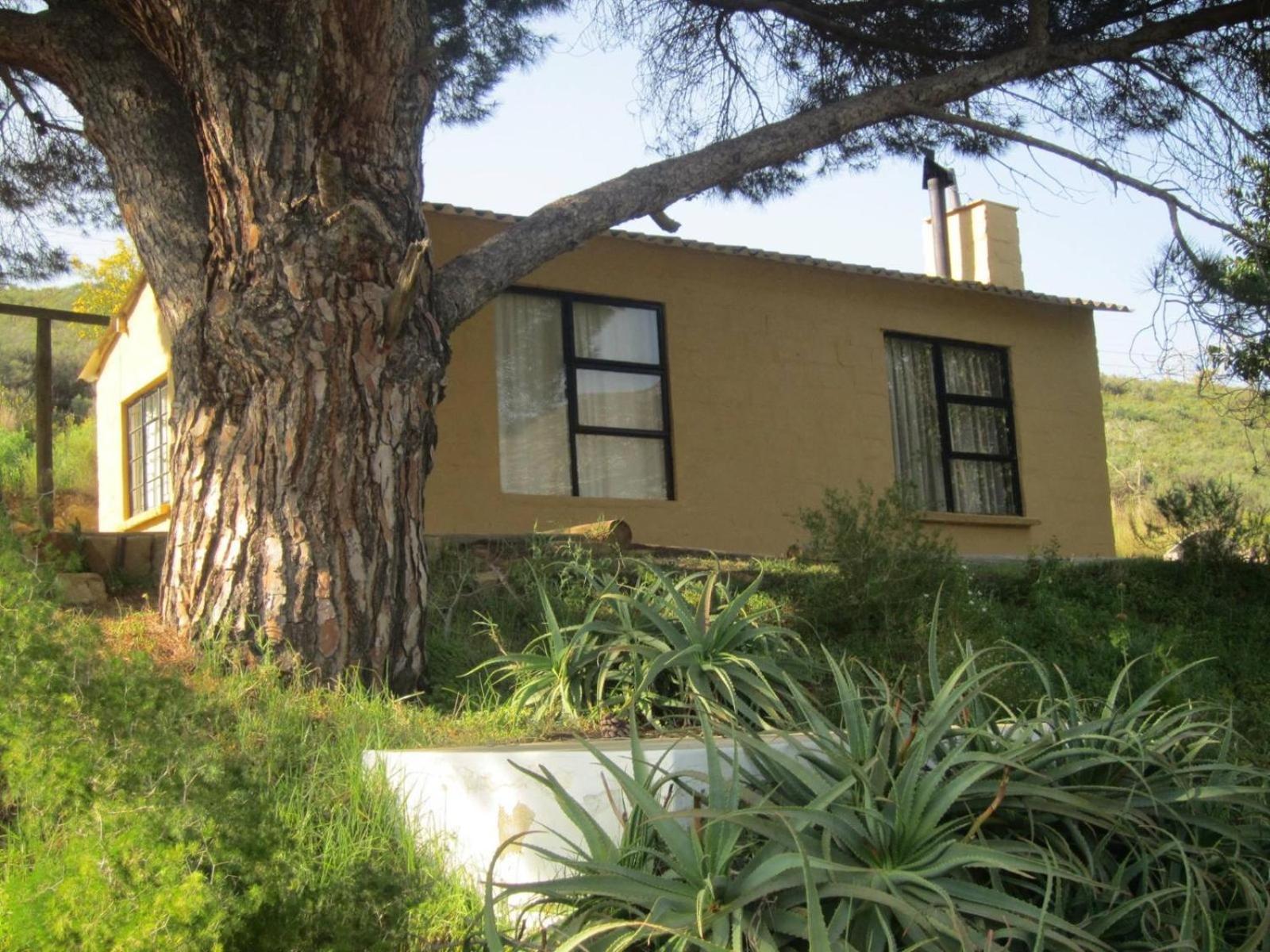 Swaynekloof Farm Villa Botrivier Room photo